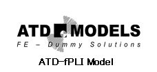 fPLI Model
